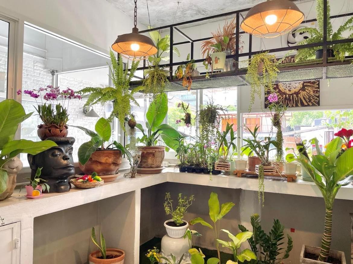 Cafe Home เชียงใหม่ ภายนอก รูปภาพ